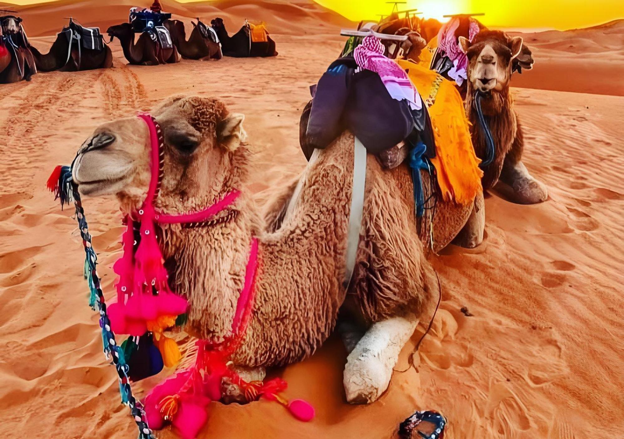 Merzouga Luxurious Tented ภายนอก รูปภาพ